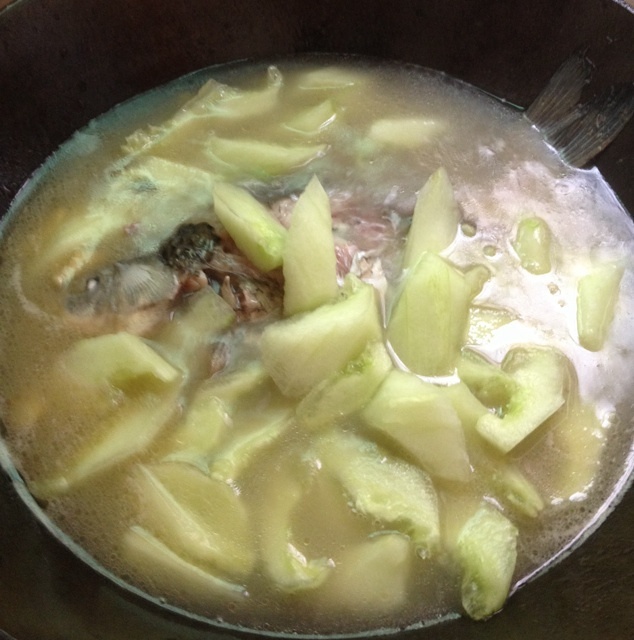 白瓜鯽魚湯的做法 步骤3