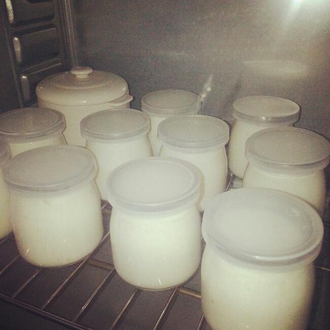 烤箱自制濃稠酸奶的做法 步骤1