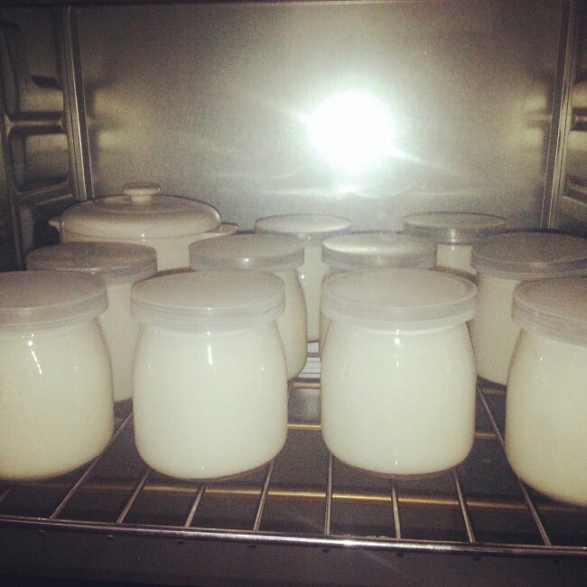 烤箱自制濃稠酸奶的做法 步骤2