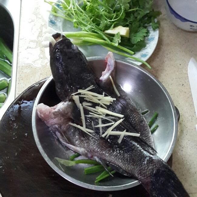 清蒸筍殼魚的做法 步骤1