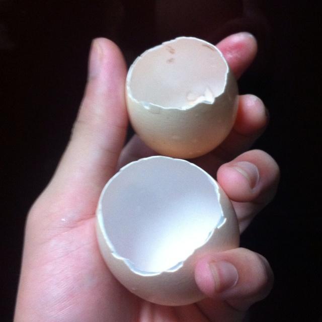 蛋殼布丁的做法 步骤1