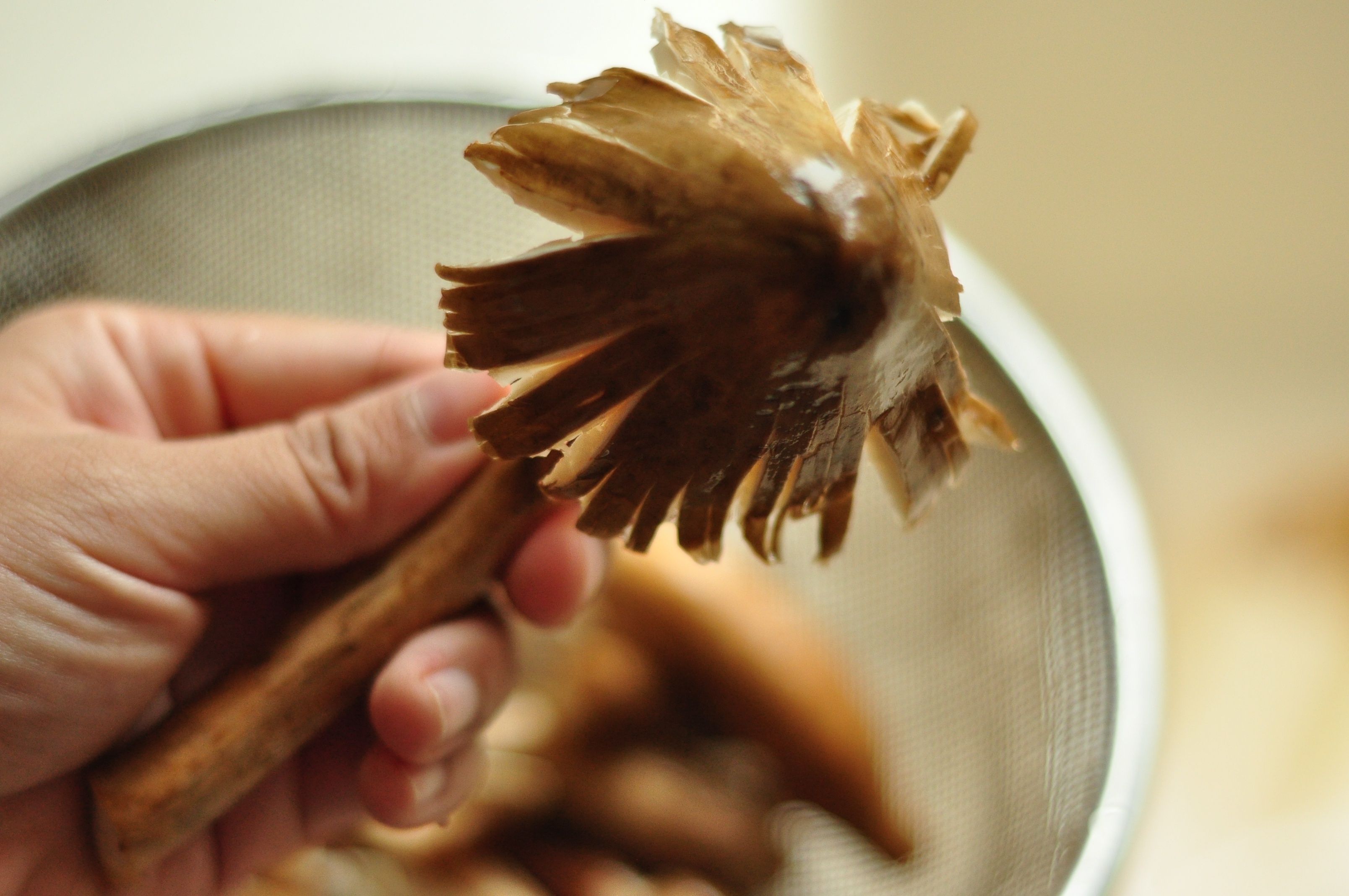 雞樅菌煲鴿湯（高壓鍋版）的做法 步骤2