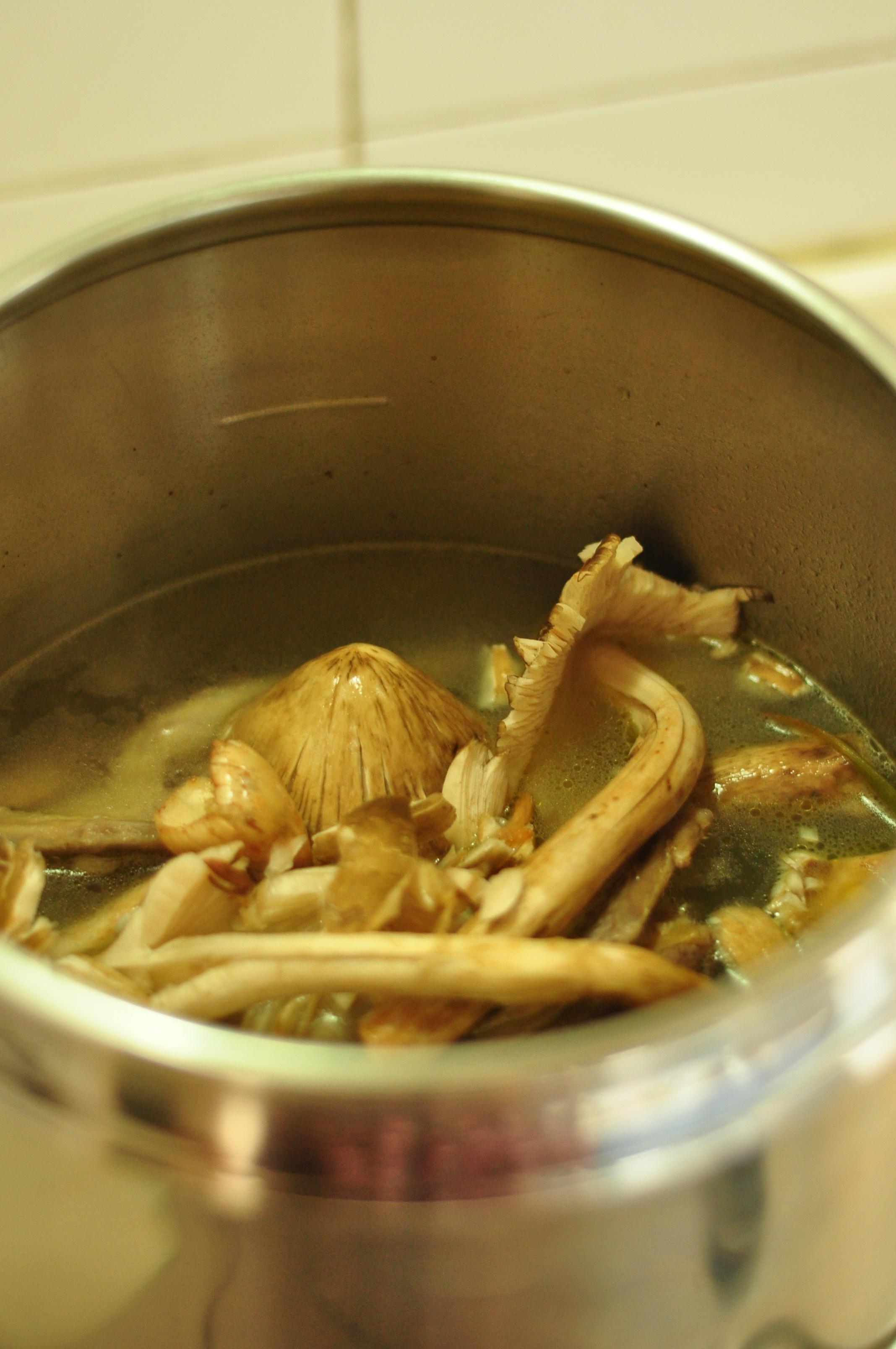 雞樅菌煲鴿湯（高壓鍋版）的做法 步骤3