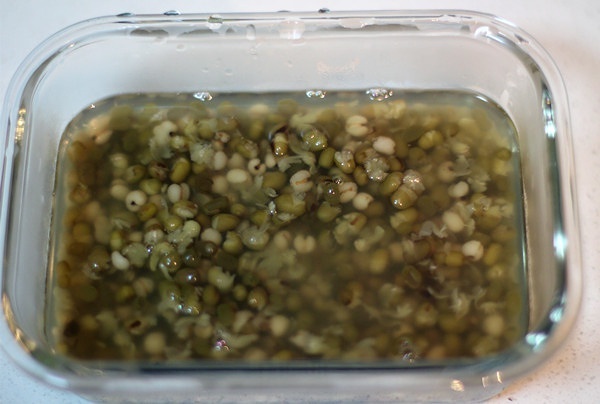 綠豆薏仁湯---三伏季的清涼飲品的做法 步骤6