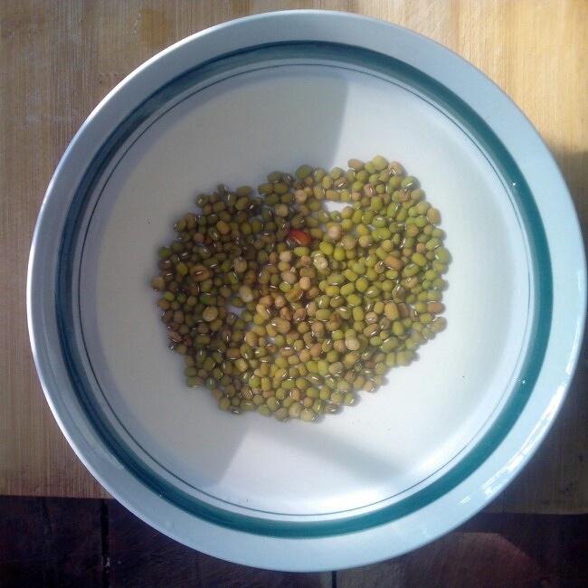 高壓鍋做綠豆湯的做法 步骤1