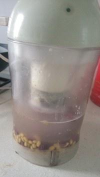 【雜糧廚房】低卡紫薯豆漿-美味健康更營養的做法 步骤3