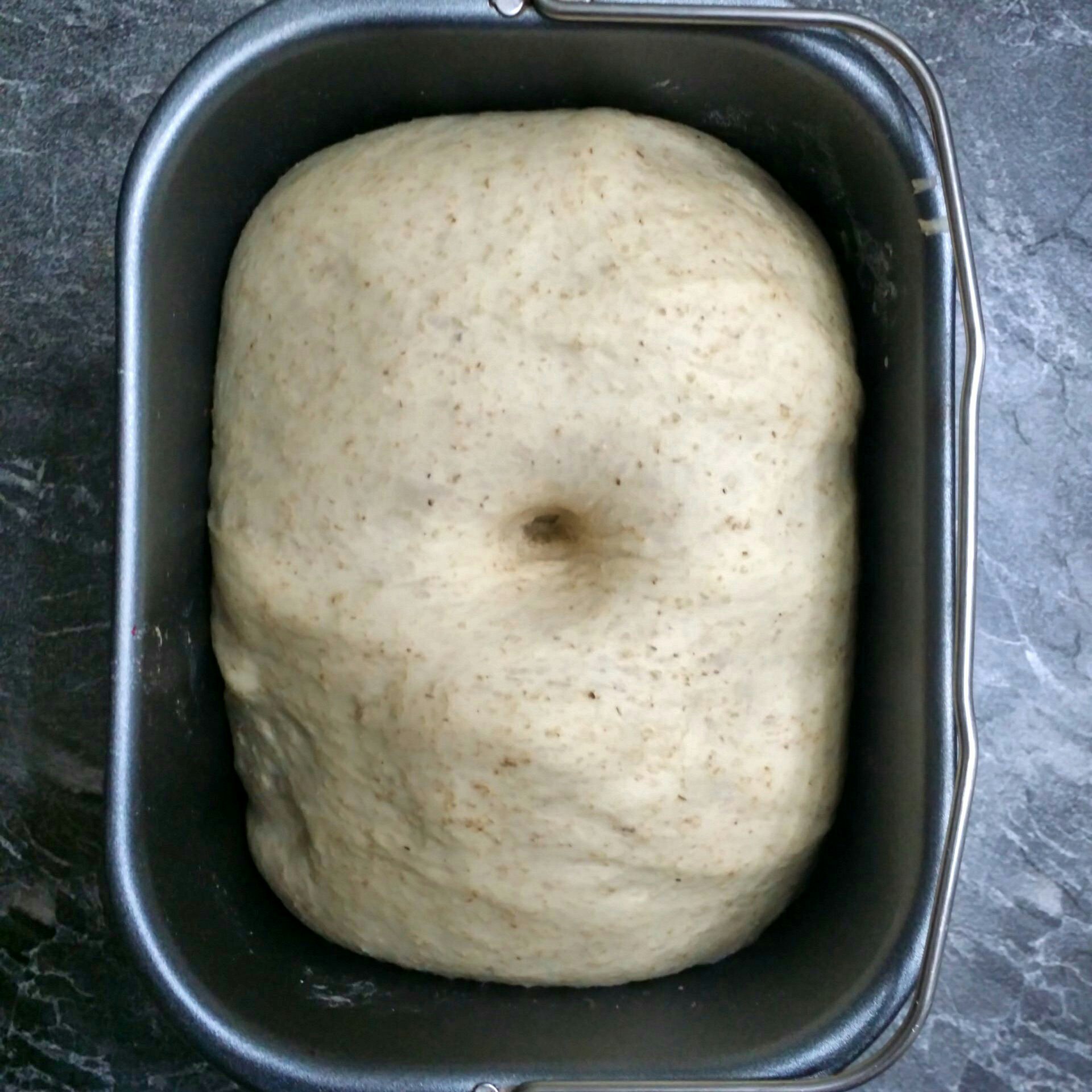 全麥紅豆面包的做法 步骤4