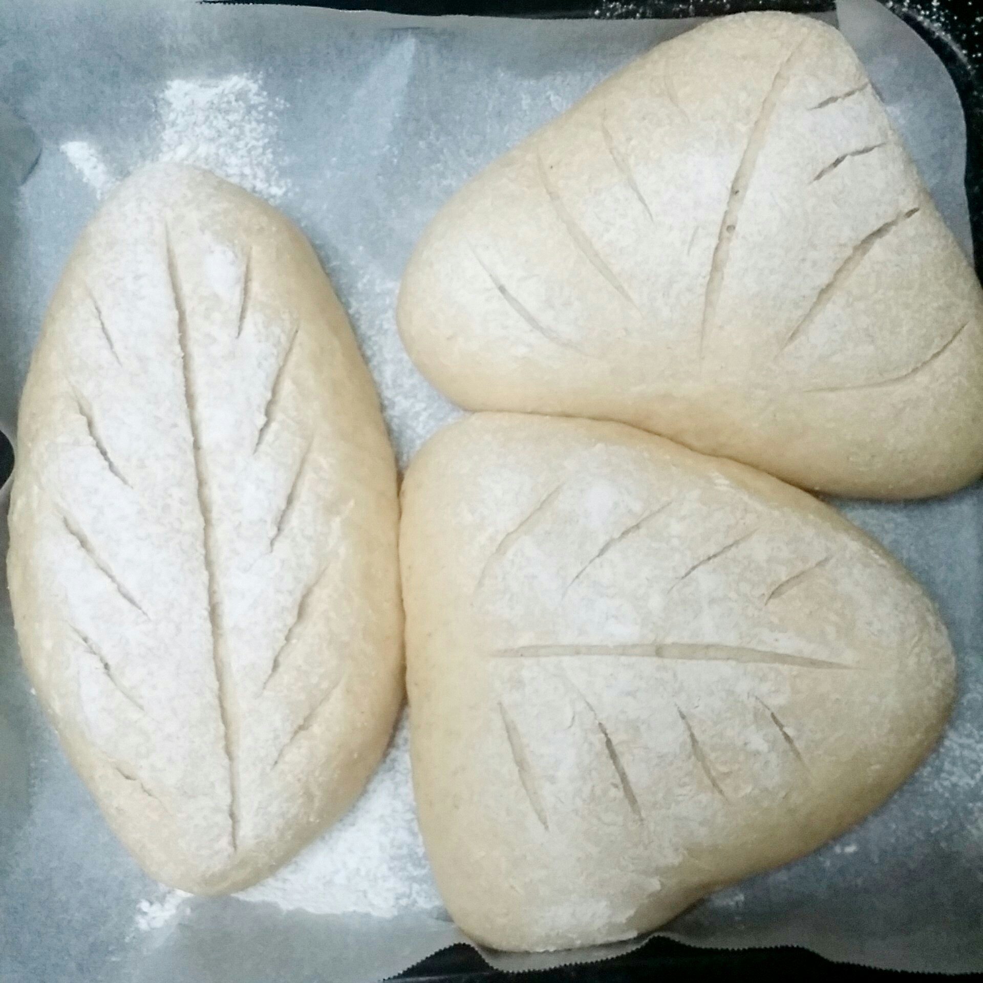 全麥紅豆面包的做法 步骤10