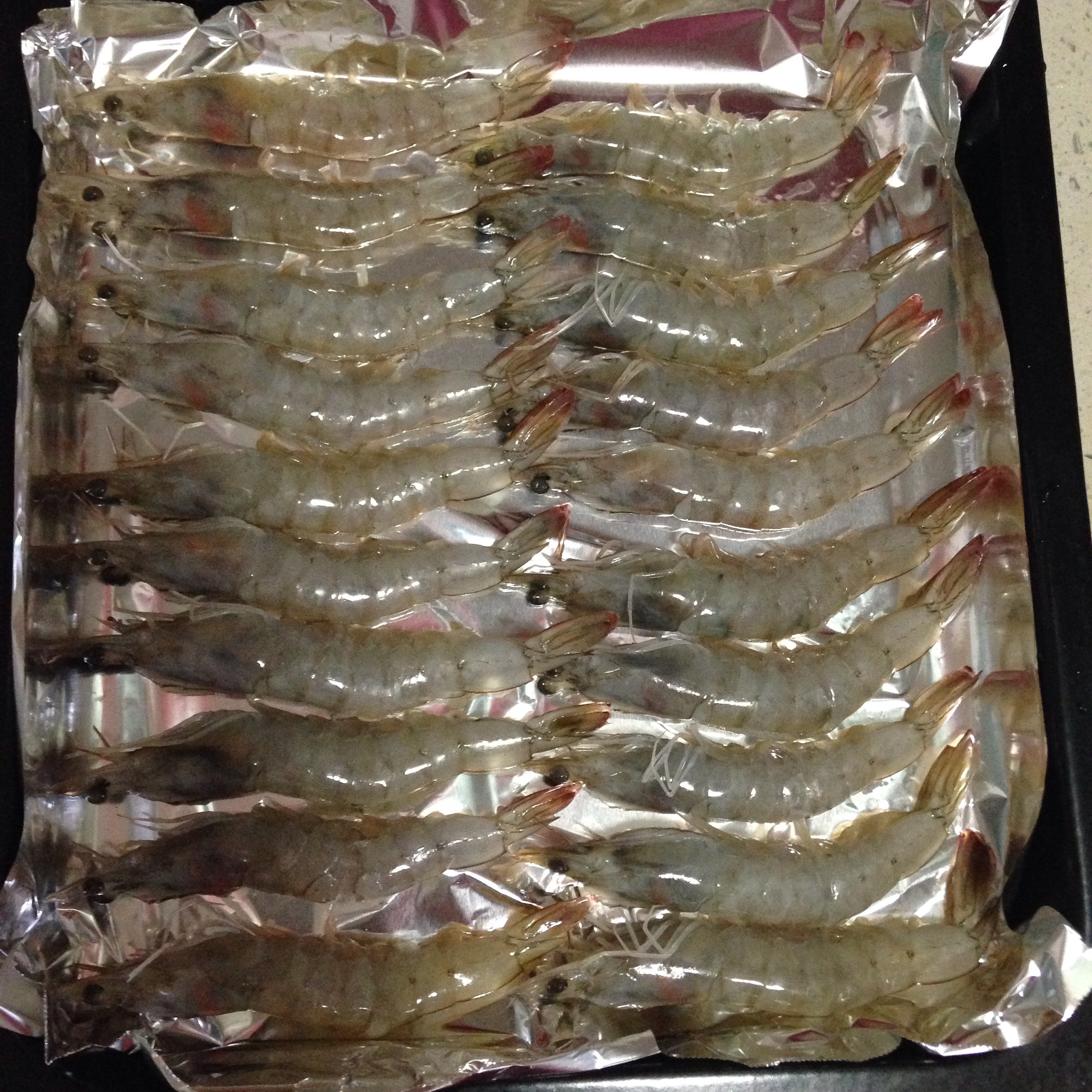 最簡單的烤大蝦的做法 步骤5