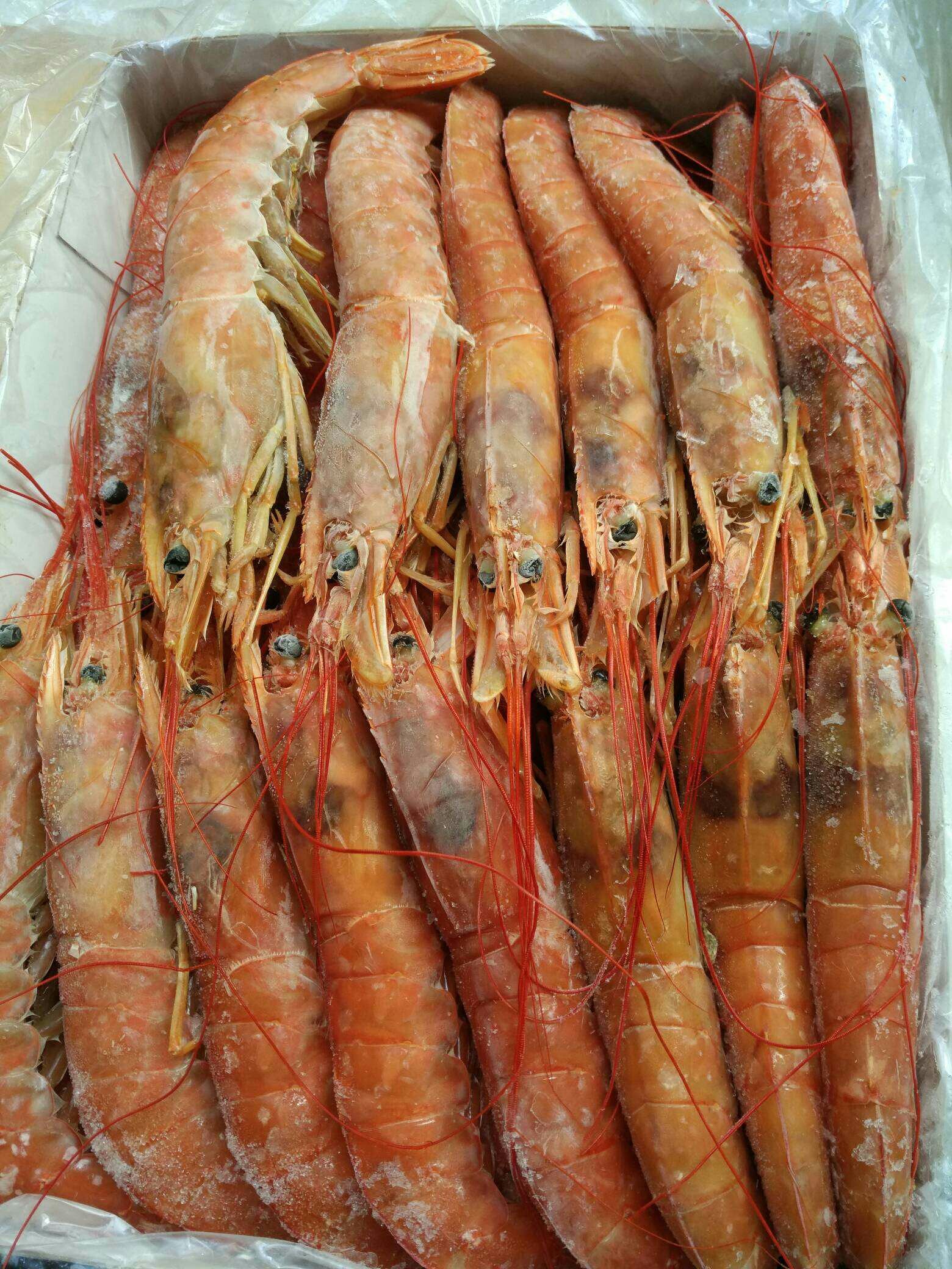 清蒸蝦——阿根廷紅蝦的做法 步骤1