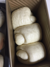 基礎面包——樂眾繽紛夏日烘焙大賽獲獎作品的做法 步骤19