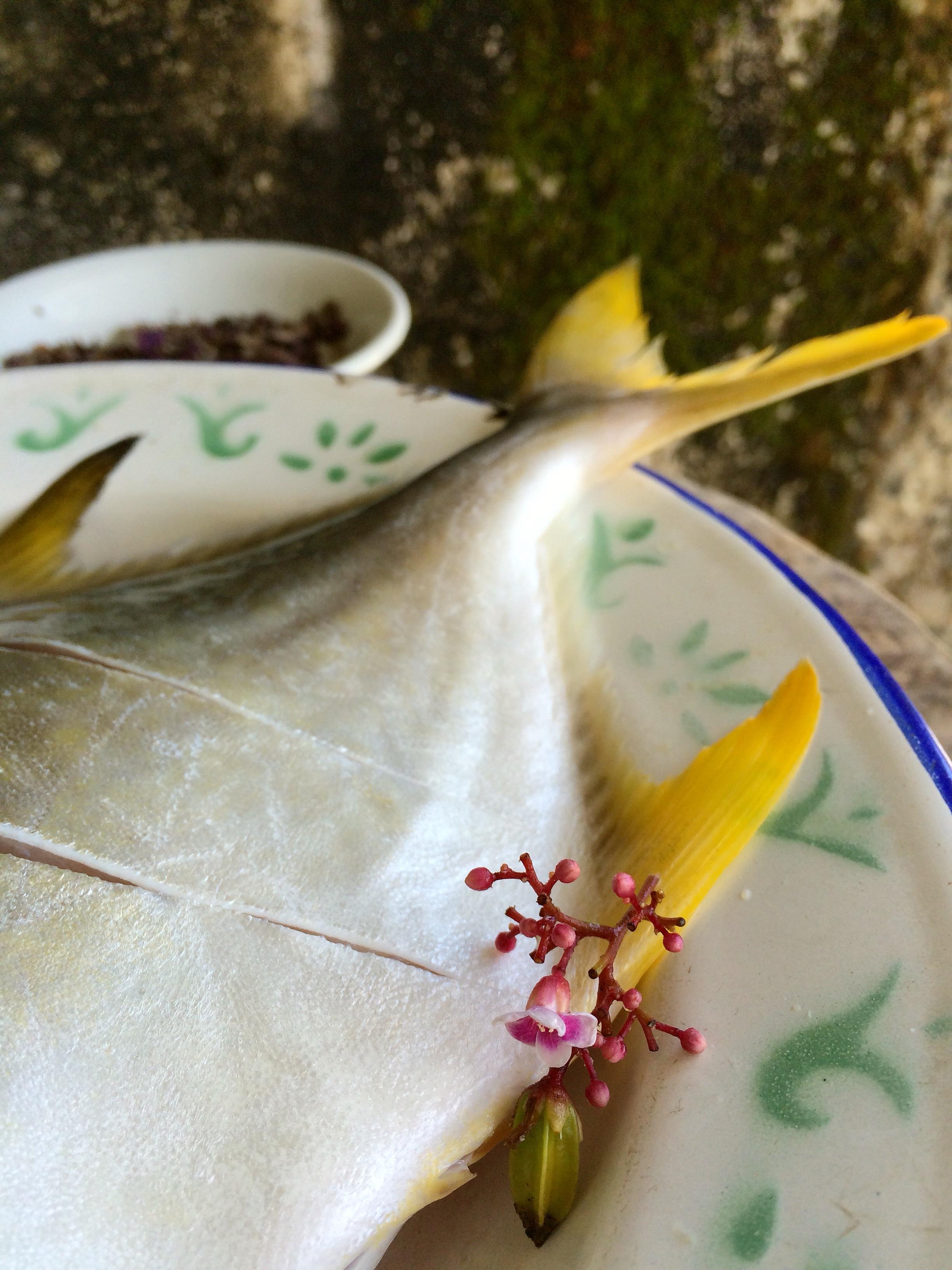 梅楊燜金鯧魚（二番梅汁）的做法 步骤2