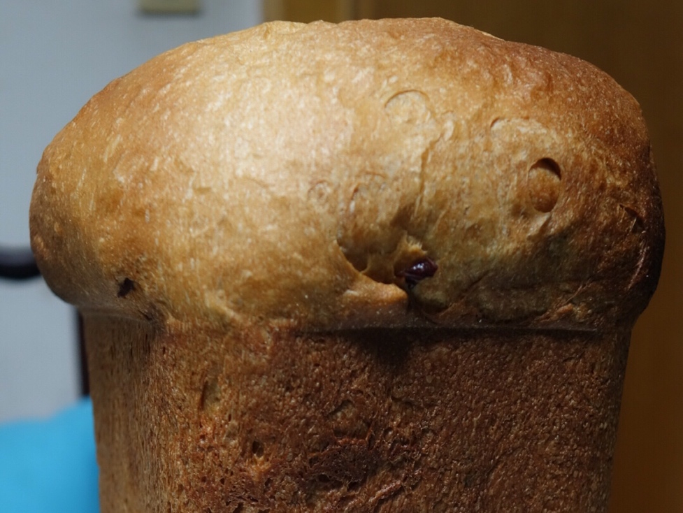 完全法全麥粉面包機版主食包的做法 步骤6