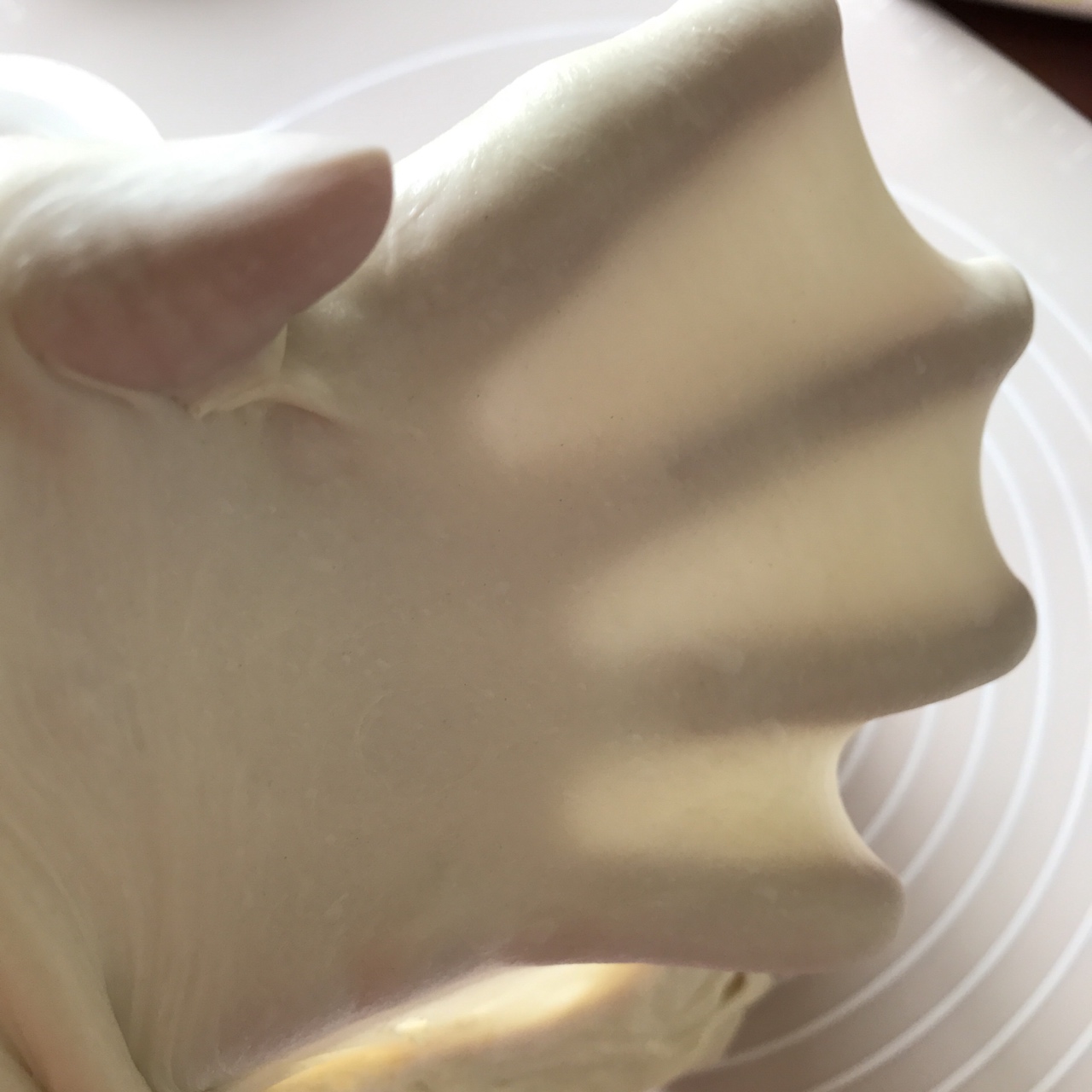 酸奶小面包15-16個 （中種冷藏發酵，多圖詳解。）的做法 步骤11