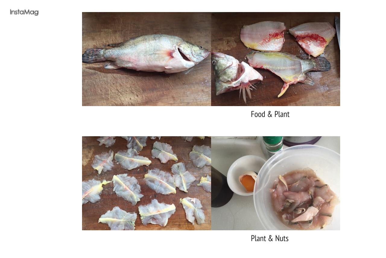黑木耳枸杞酸湯鱖魚的做法 步骤1