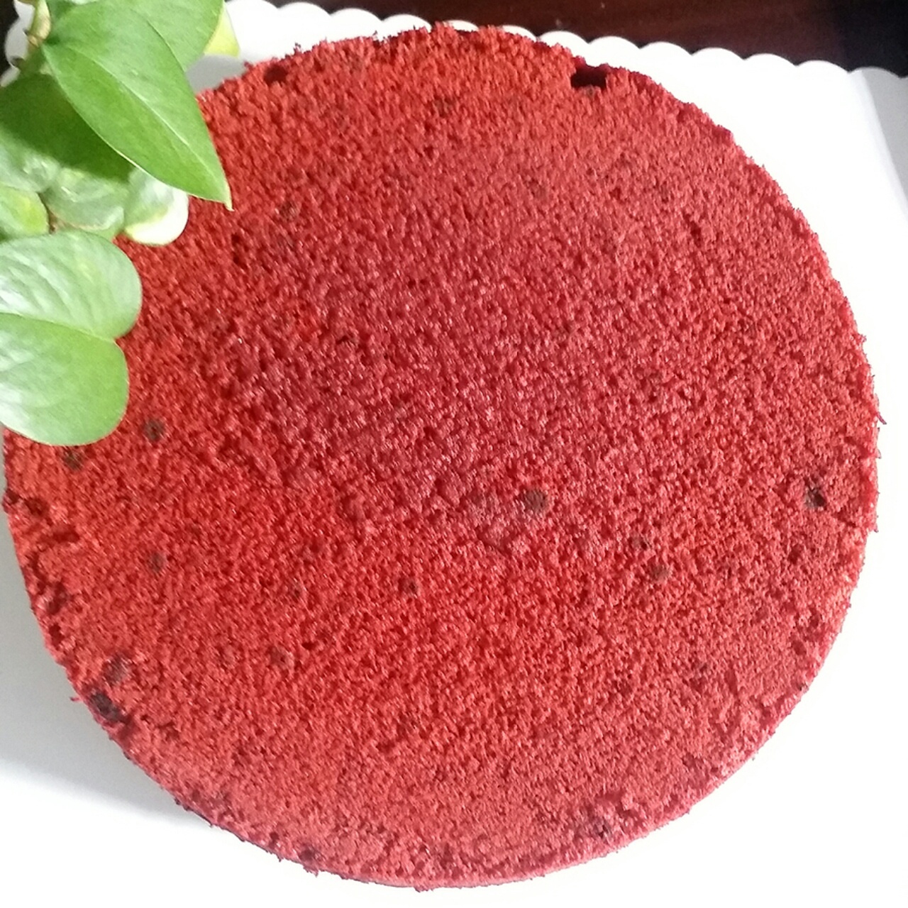8寸紅絲絨蛋糕的做法 步骤12