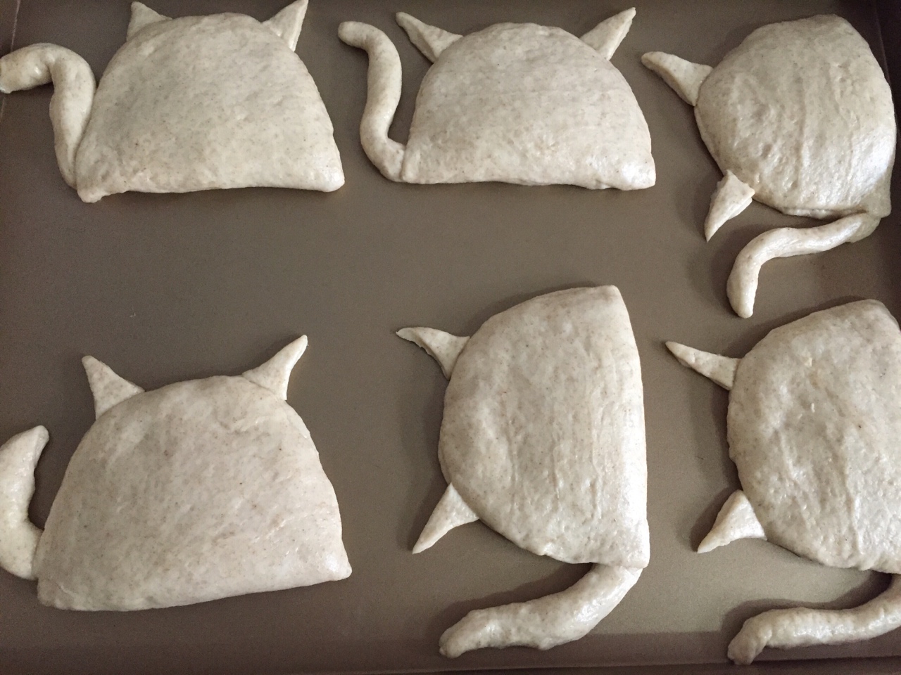 麥麩大臉貓面包的做法 步骤10
