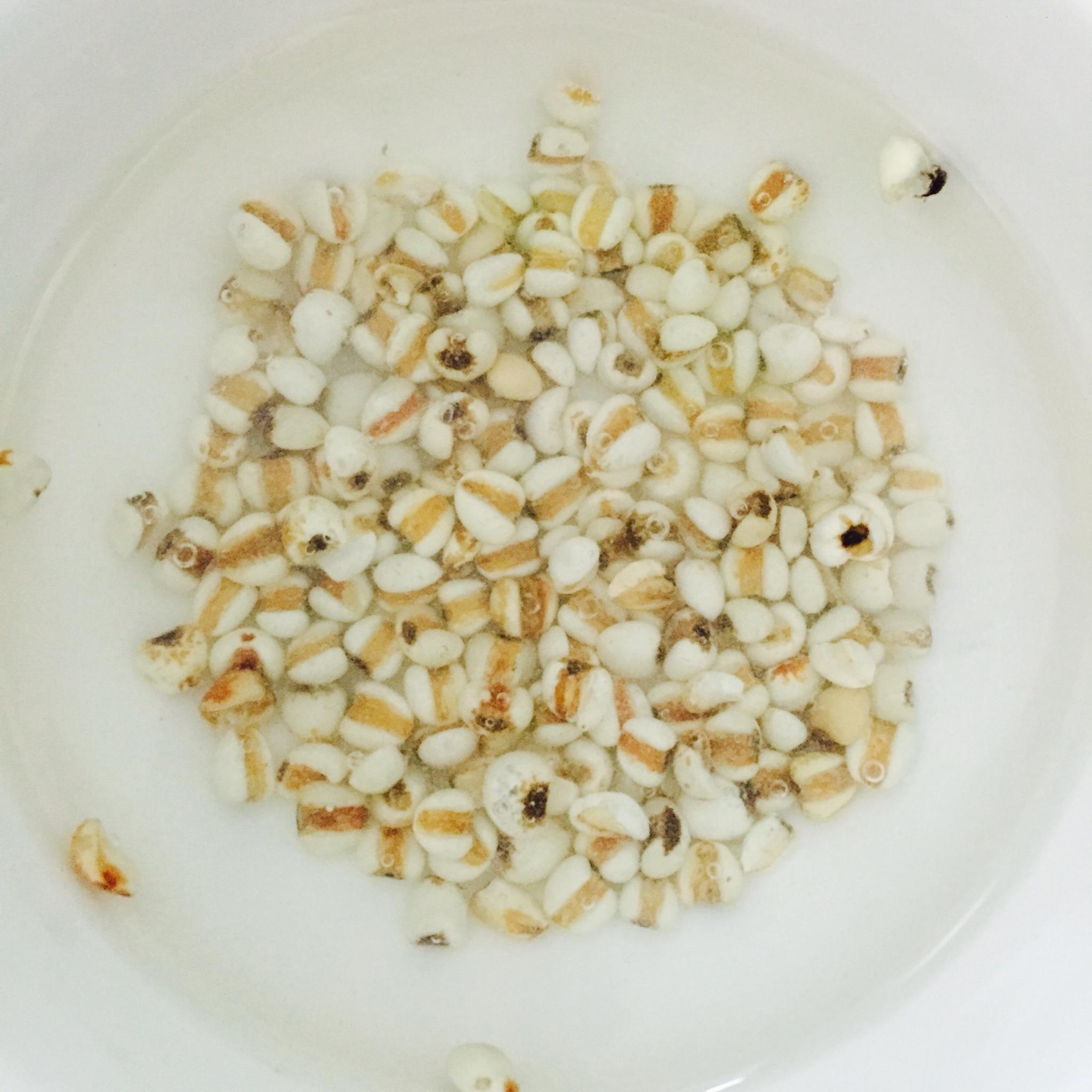 冬瓜薏米枸杞排骨湯的做法 步骤2