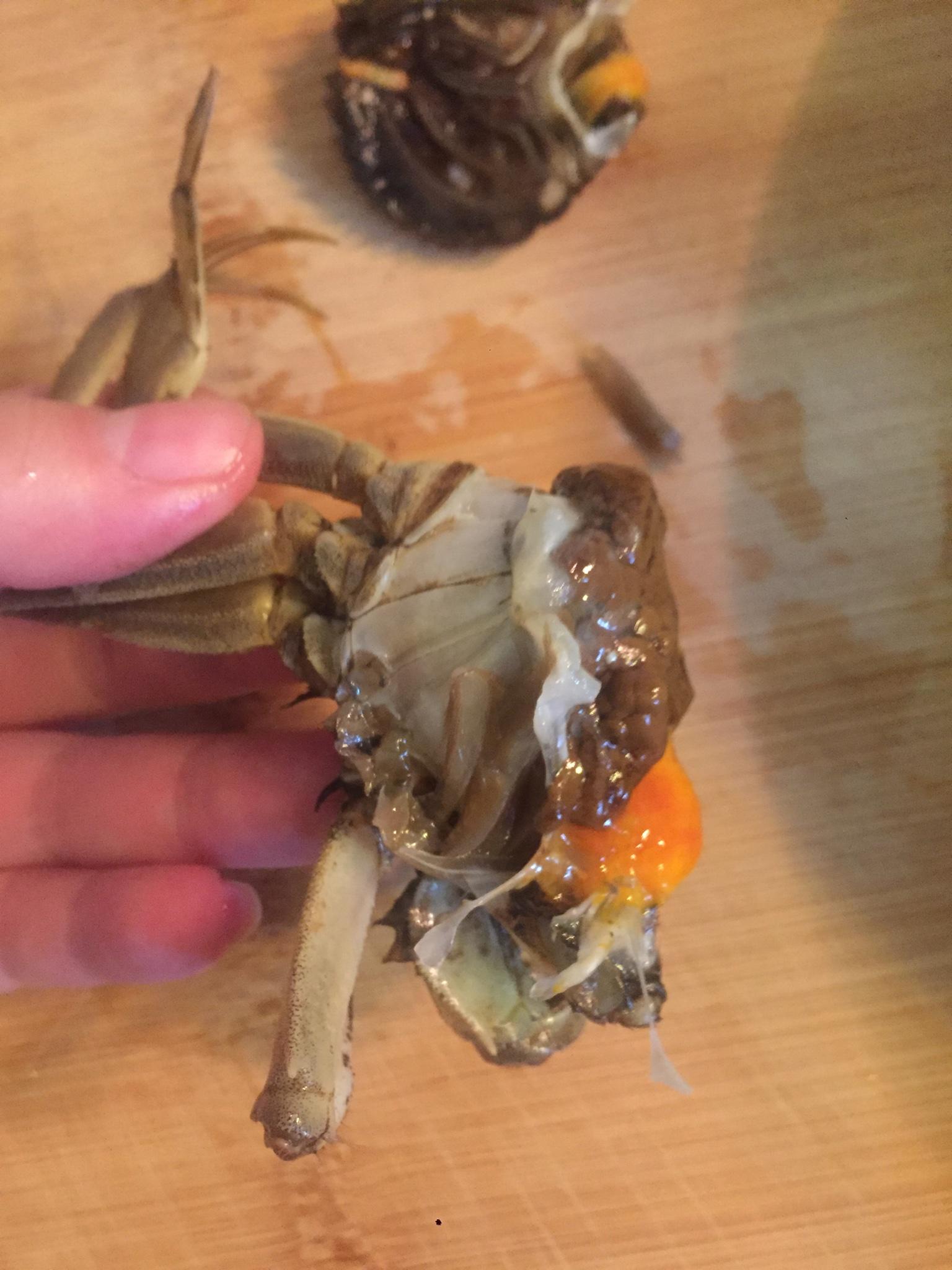 鯽魚螃蟹文蛤河蝦湯的做法 步骤4