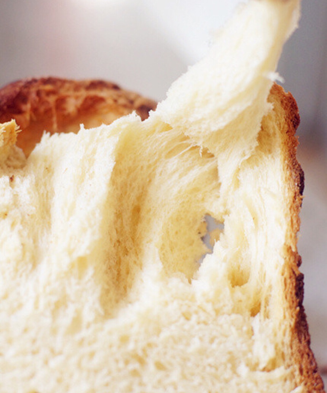 面包機版北海道吐司（直接法）的做法 步骤4