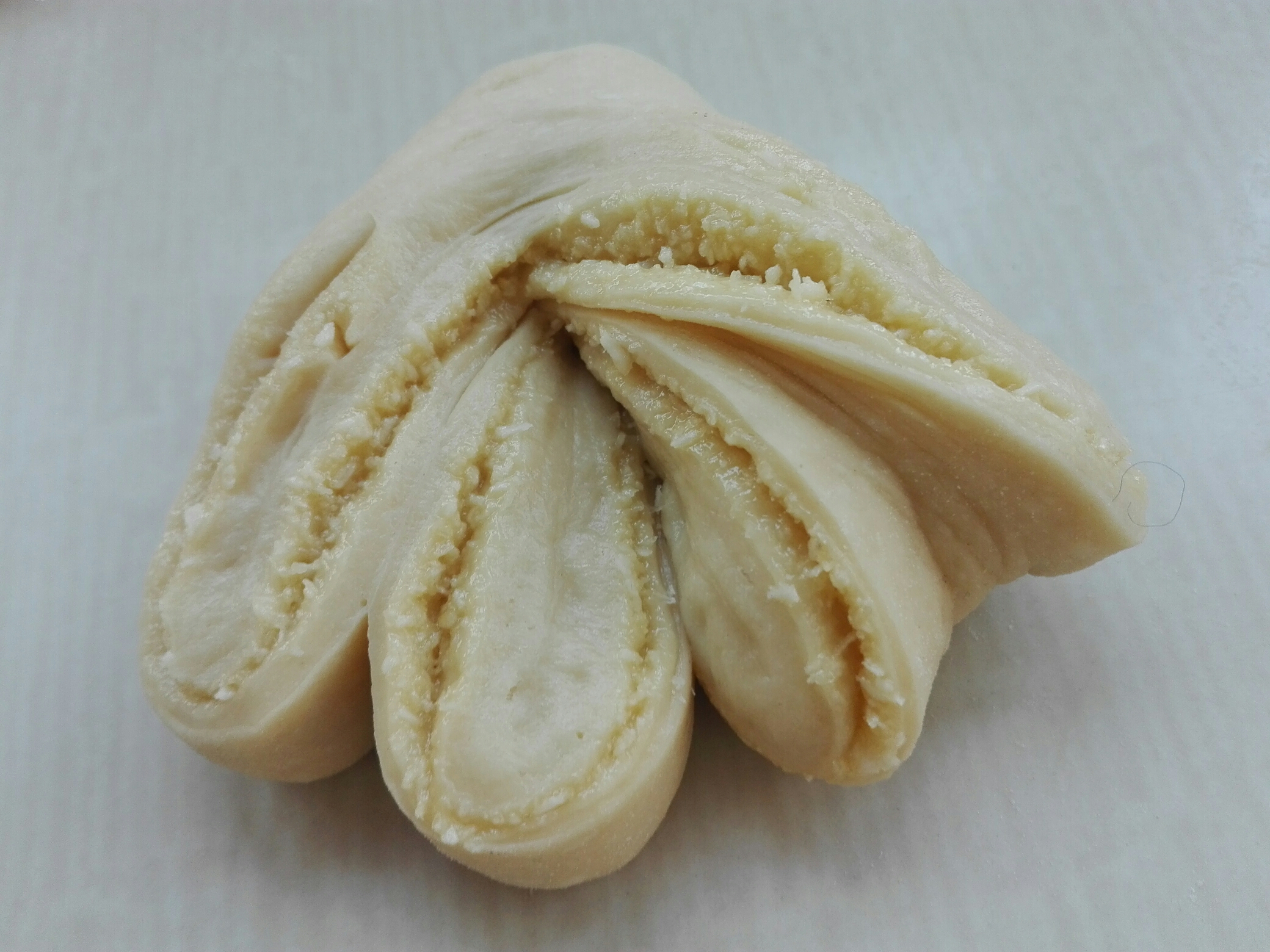 椰蓉面包（玉米油版）的做法 步骤18