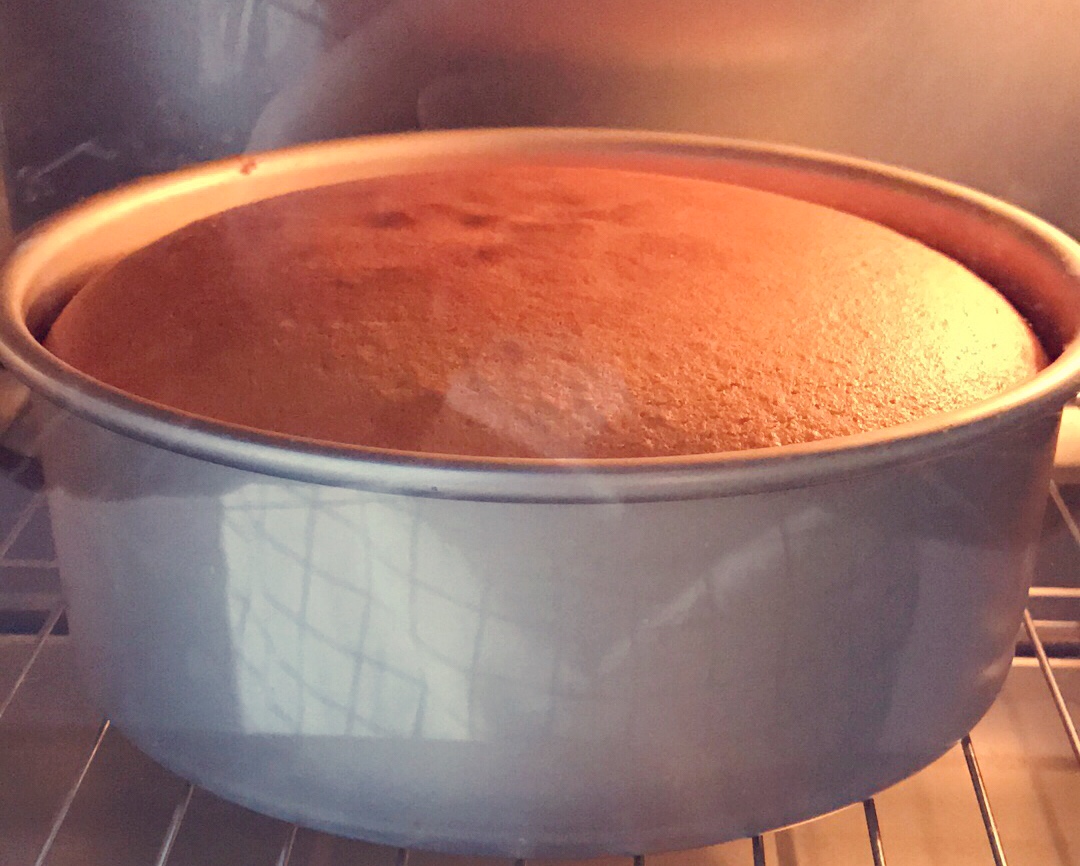 全蛋海綿蛋糕的做法 步骤10