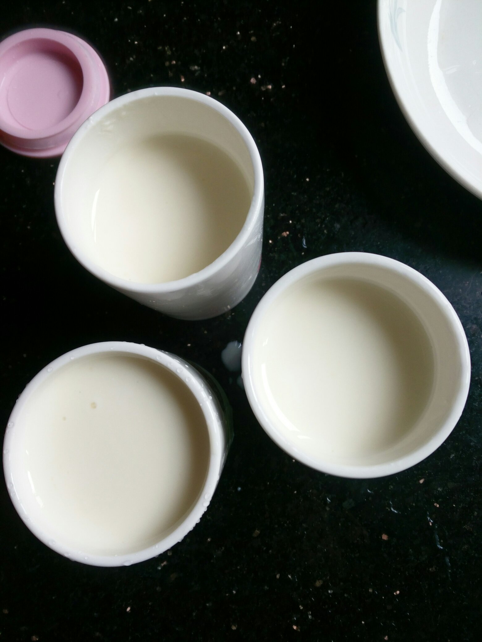 用奶粉自制酸奶的做法 步骤7