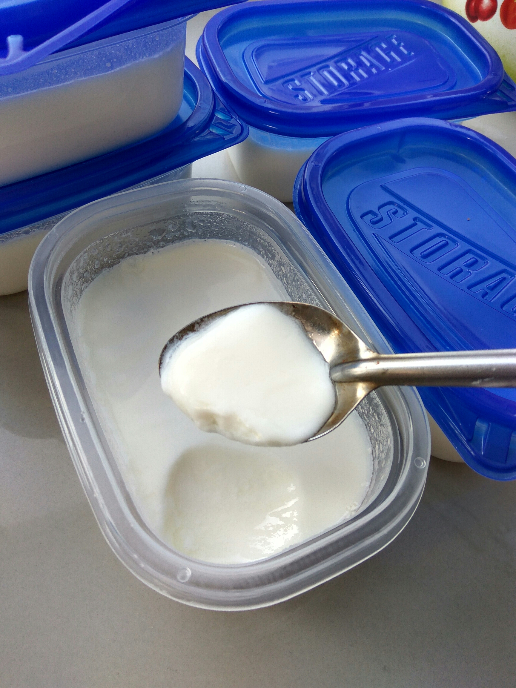 自制希臘酸奶（面包機版）的做法 步骤10