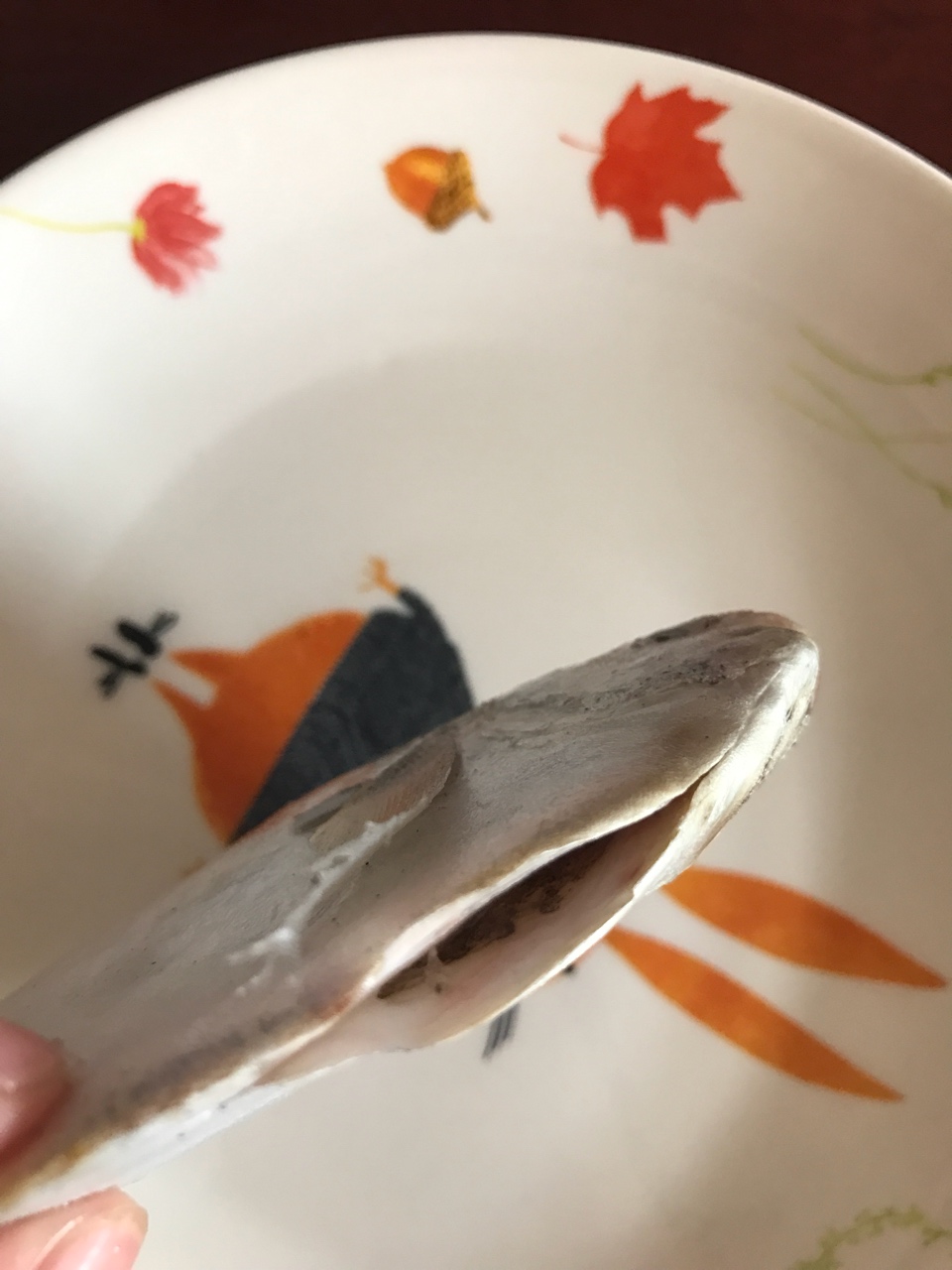 寶寶輔食清蒸海昌魚的做法 步骤1