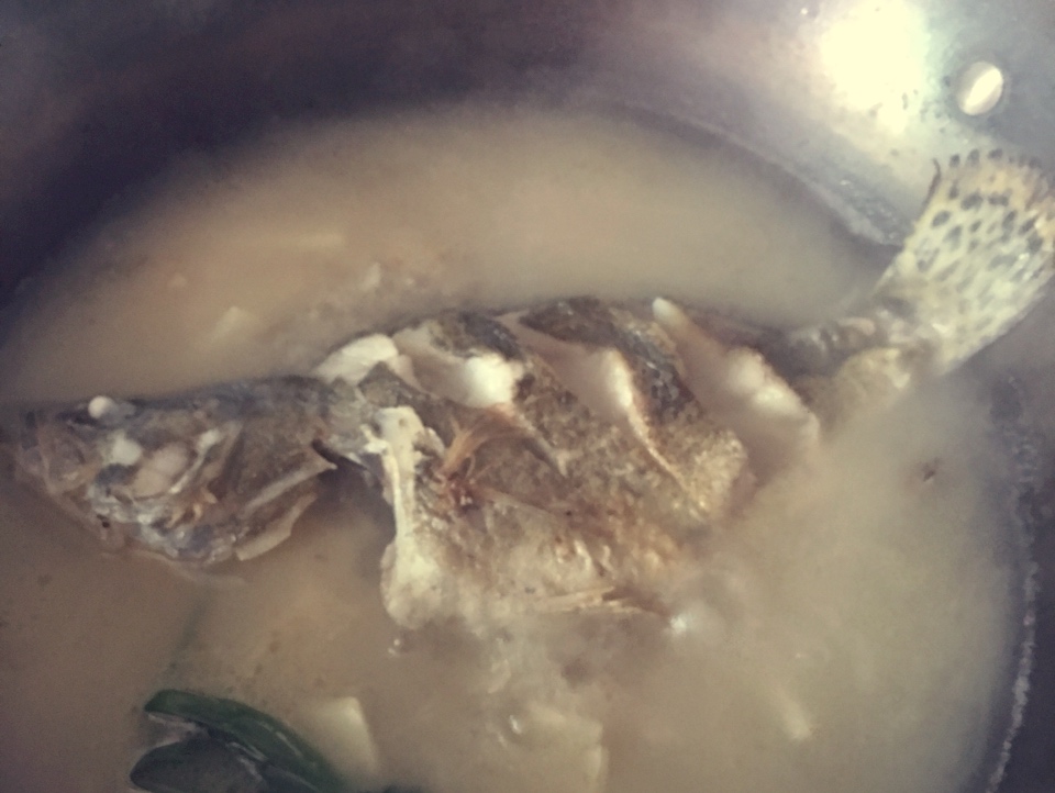 鮮蝦桂魚湯的做法 步骤4