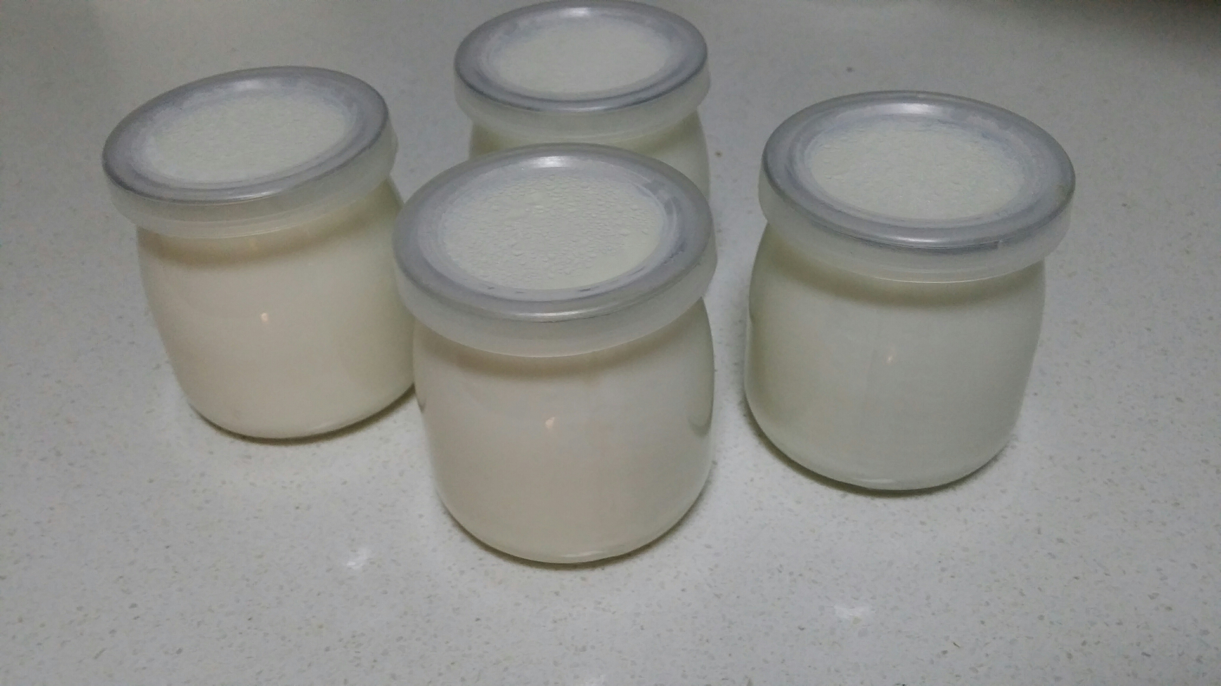 電飯煲酸奶的做法 步骤9