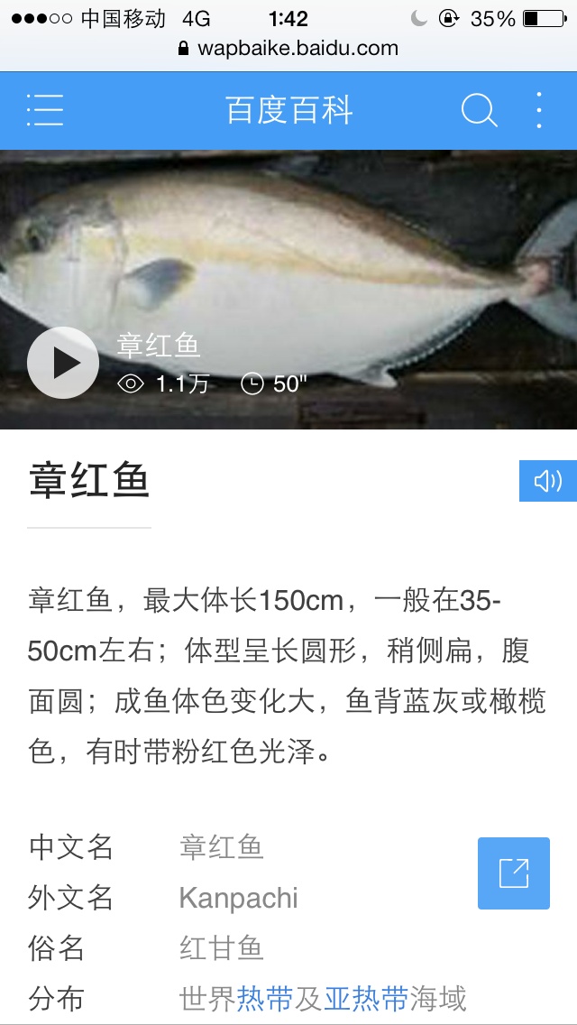 漁家鮮魚（章紅魚）飯的做法 步骤1