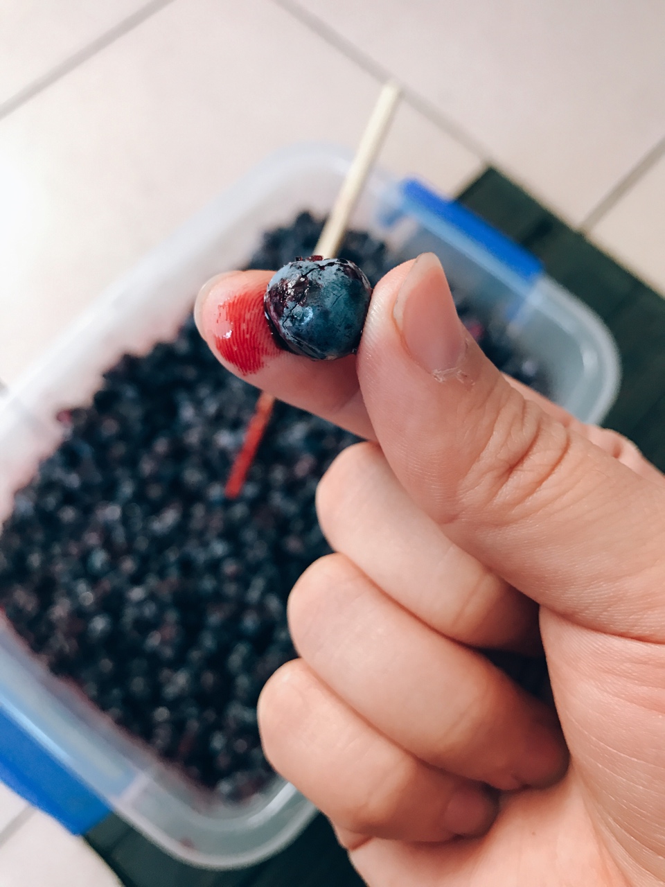 野生藍莓醬—北緯五十度的味道的做法 步骤1