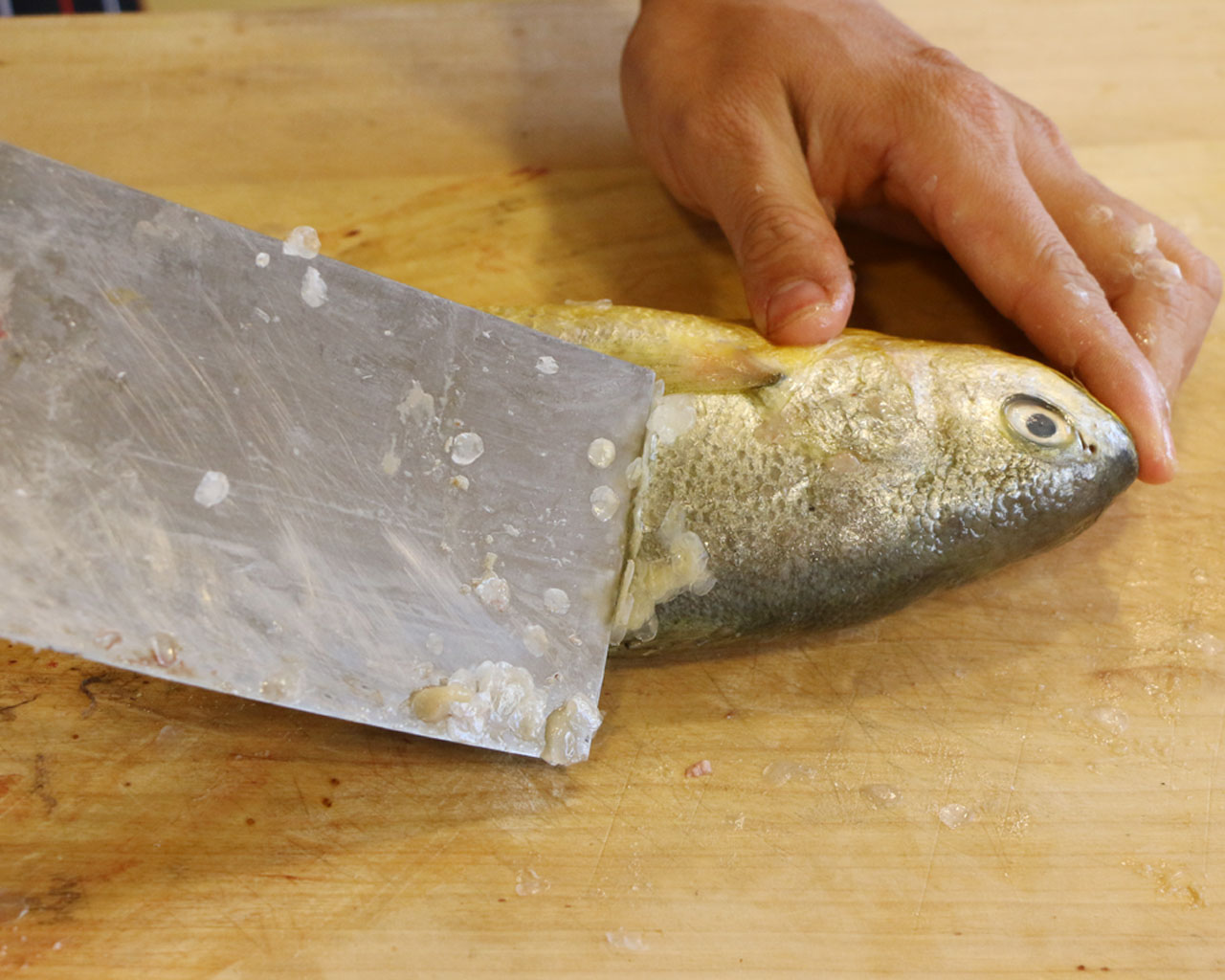 彼得海鮮—紅燒黃花魚的做法 步骤1