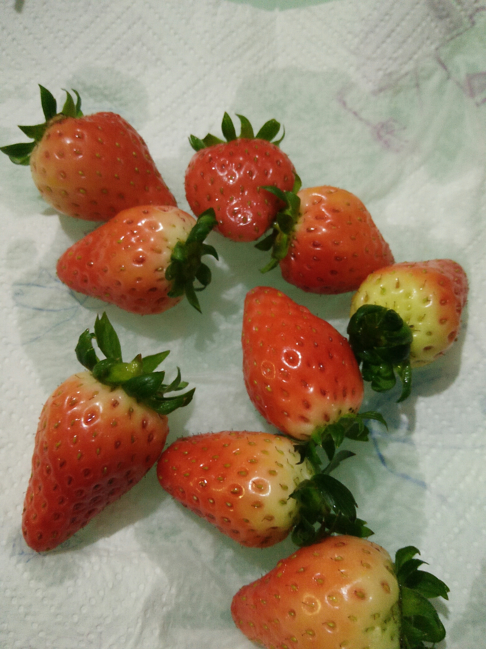 情人節草莓花的做法 步骤2