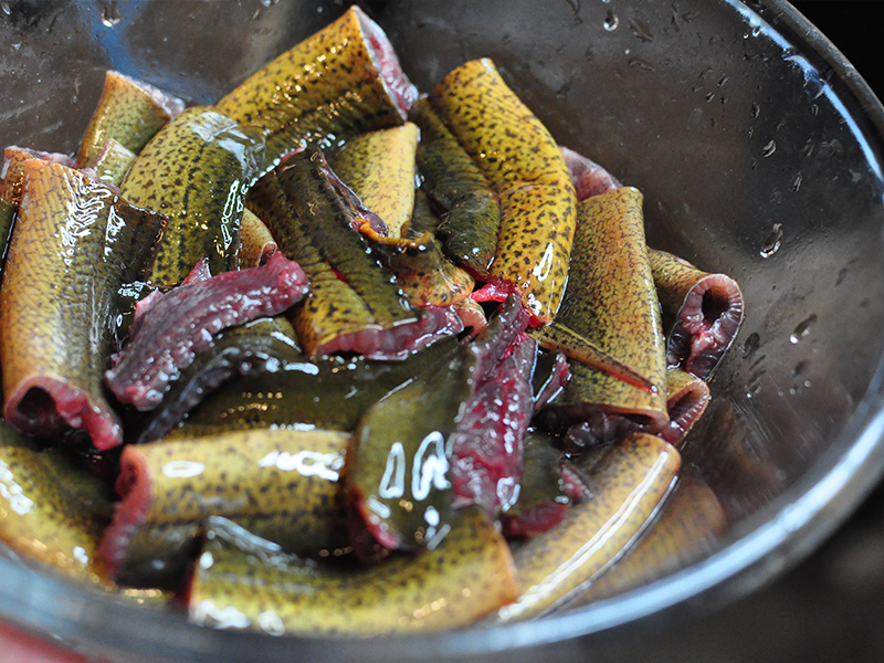 涼拌鱔魚-黃鱔補氣血的低熱量吃法的做法 步骤1