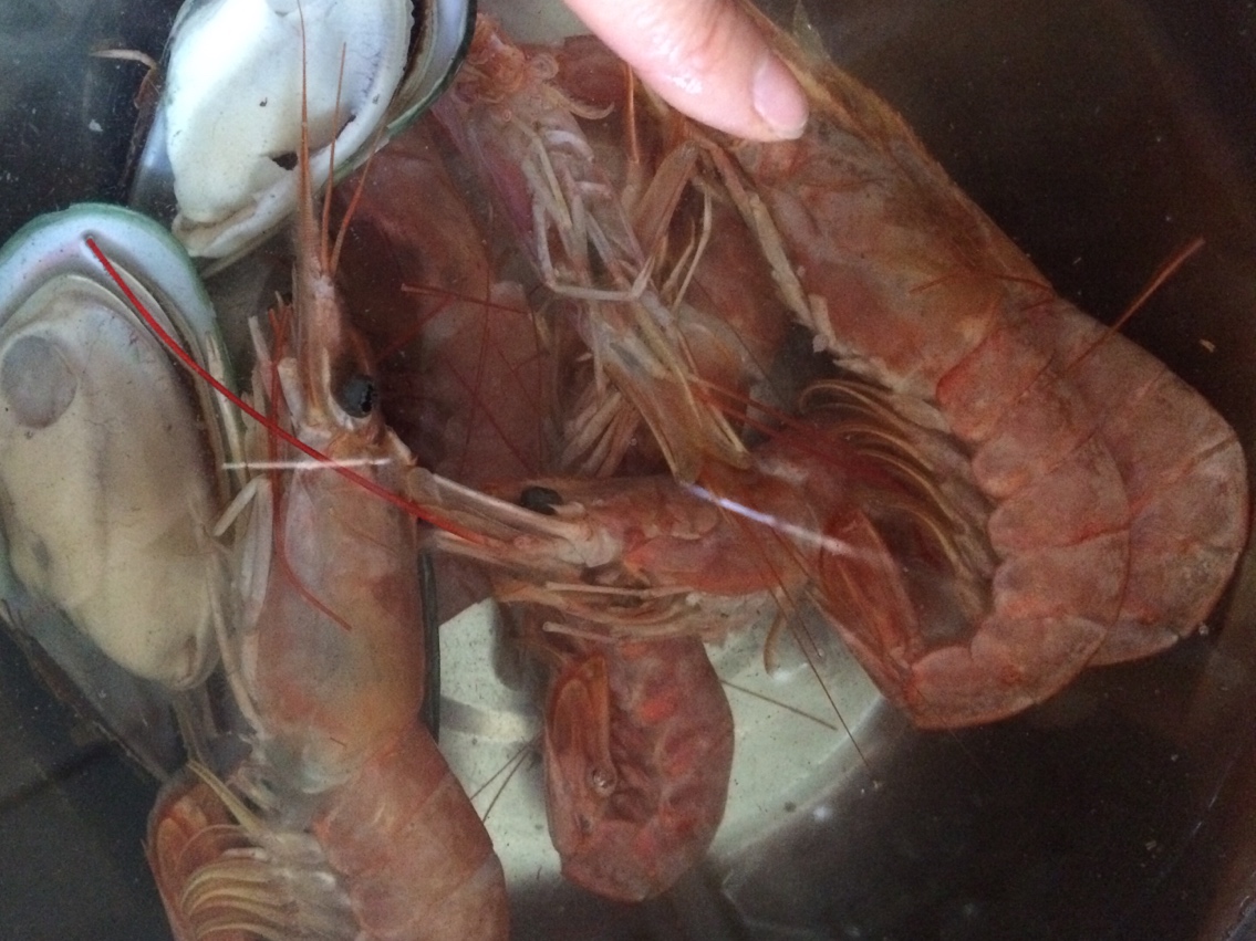 蒜泥粉絲阿根廷紅蝦的做法 步骤1