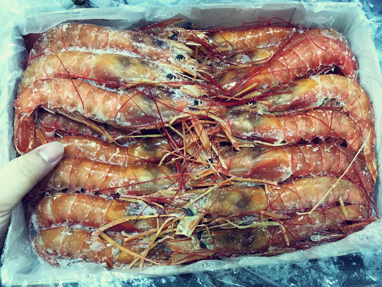 蒜油香煎阿根廷紅蝦的做法 步骤2