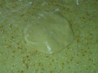 玉米面酸菜小包子的做法 步骤5