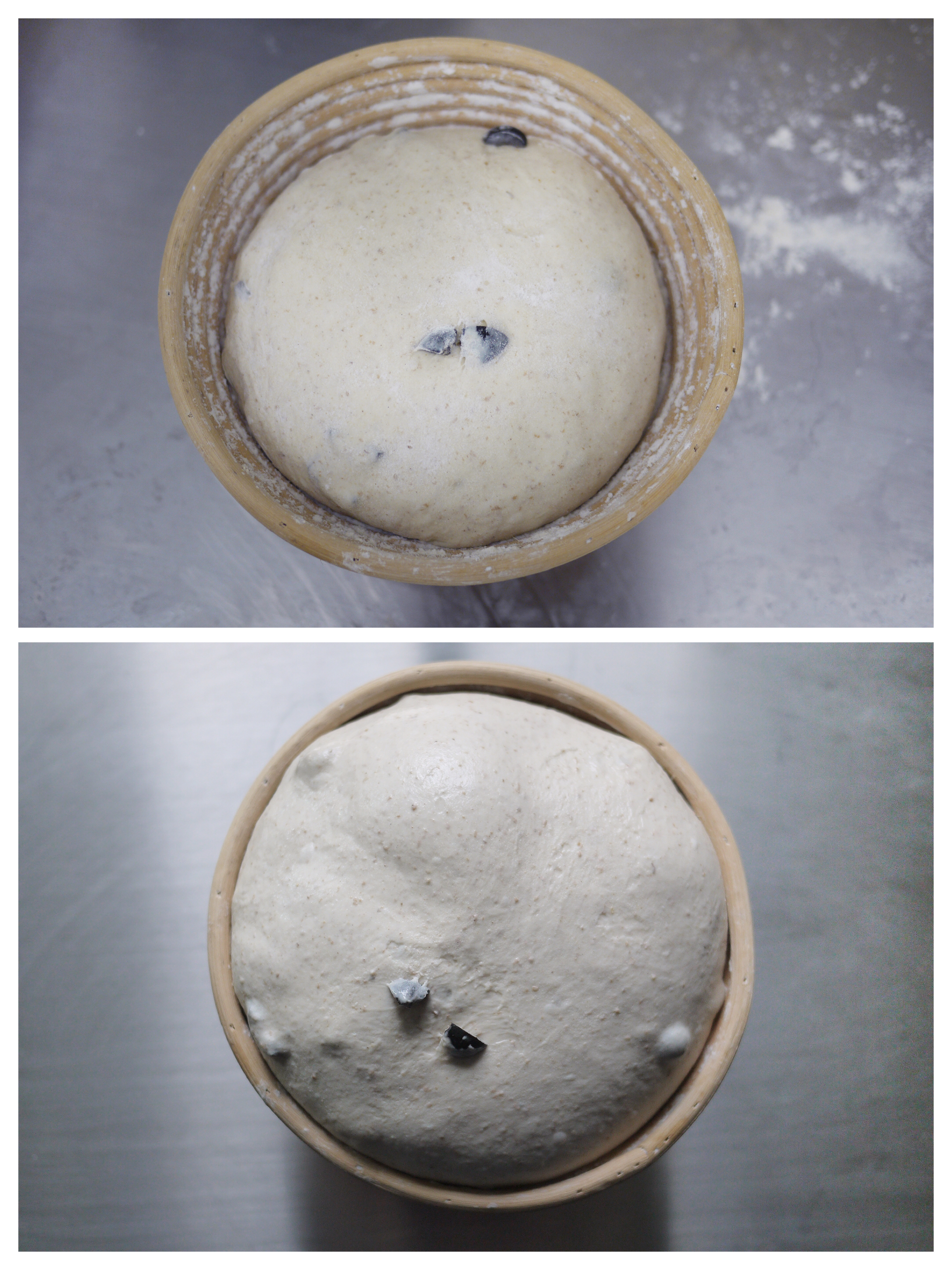 全麥山核桃橄欖歐包-Staub琺瑯鑄鐵鍋的做法 步骤7