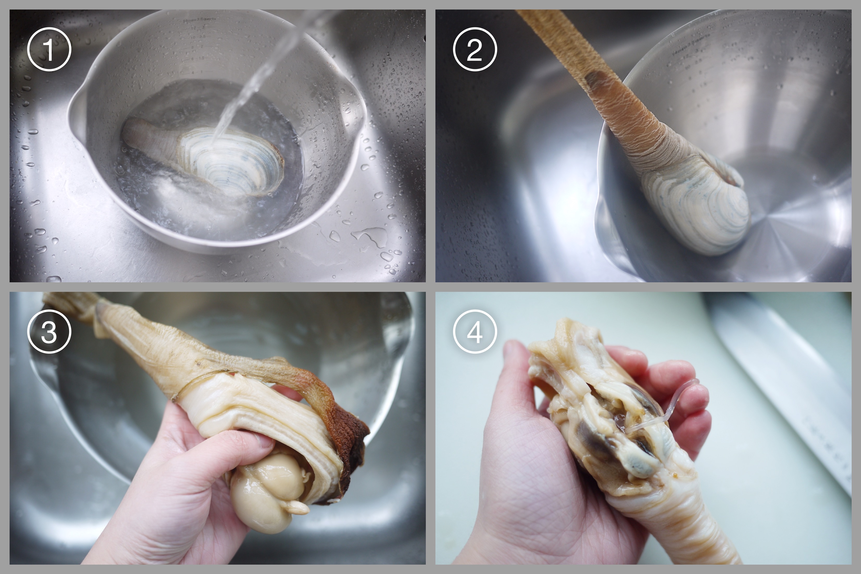 生滾象拔蚌鮑魚粥—staub琺瑯鑄鐵鍋的做法 步骤2