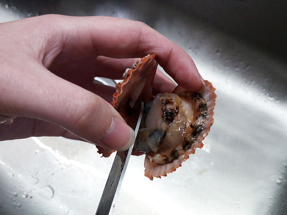 蒜蓉粉絲蒸扇貝的做法 步骤2