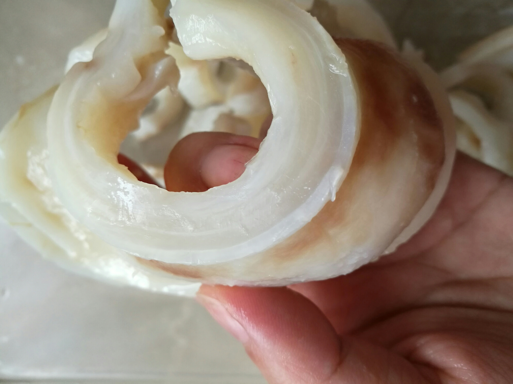 海參花猴頭菇炖花膠的做法 步骤1