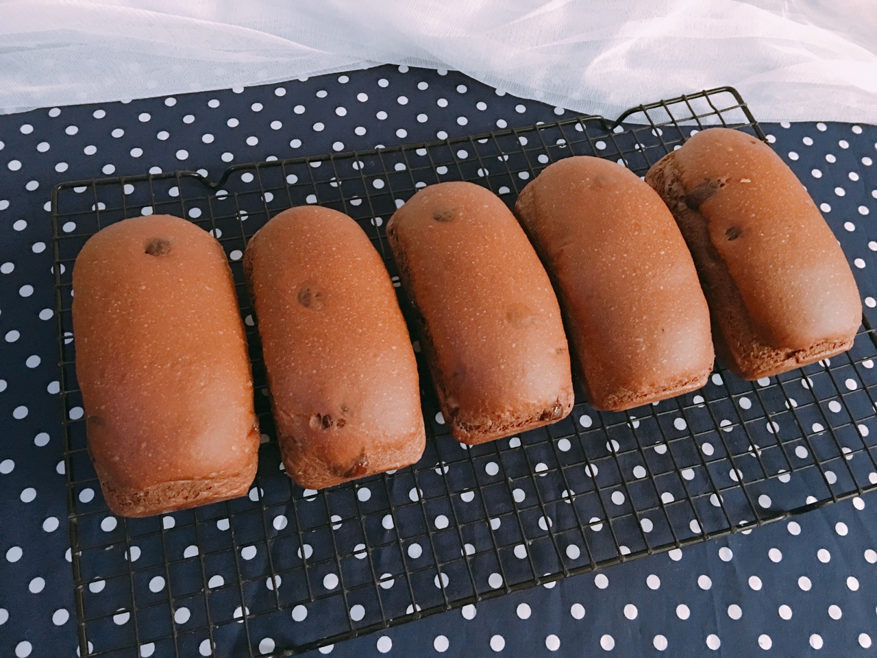 冬日里的能量包~濃郁巧克力黑森林面包的做法 步骤10