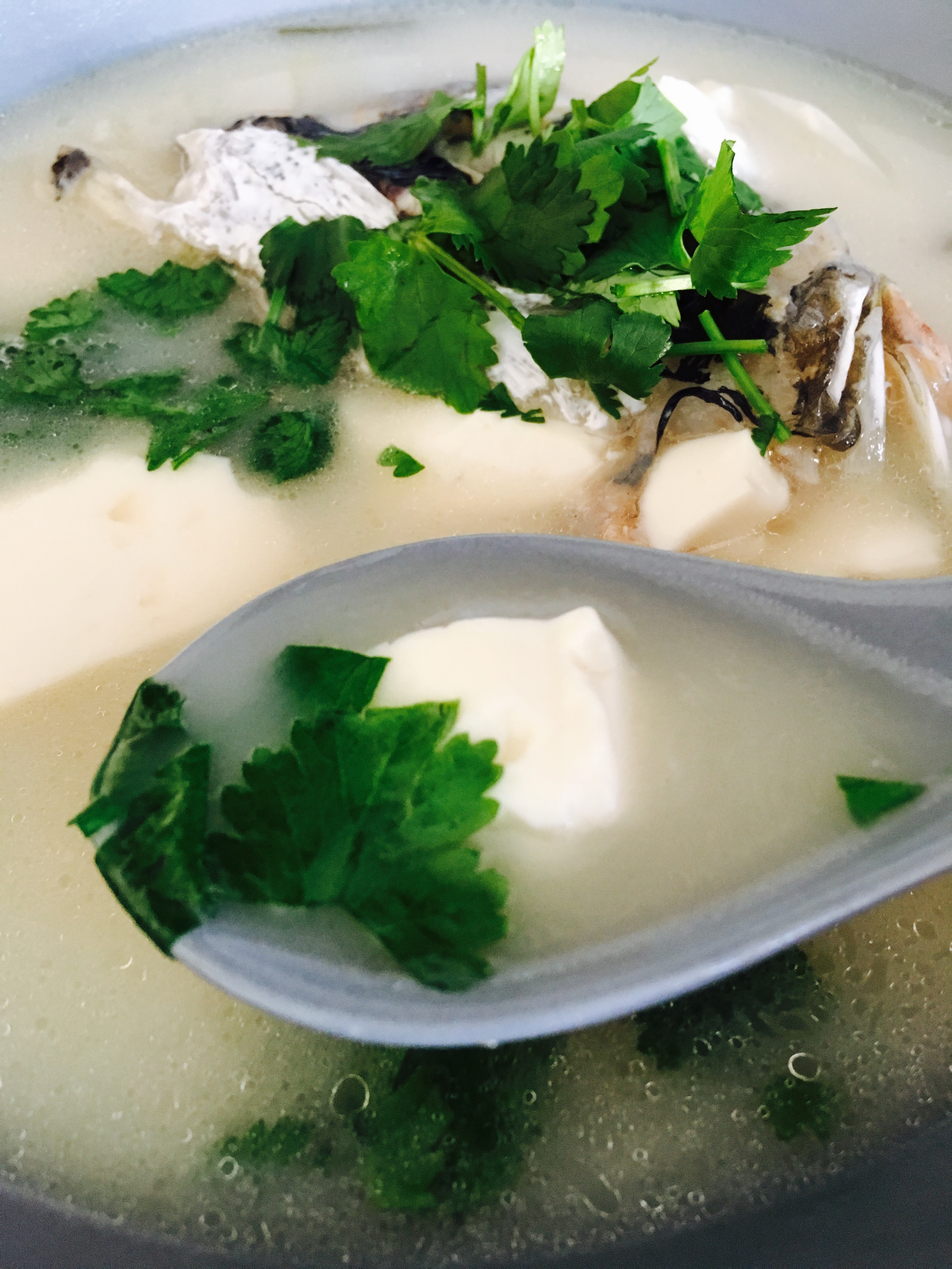 如何煮一鍋奶白的魚頭豆腐湯的做法 步骤13