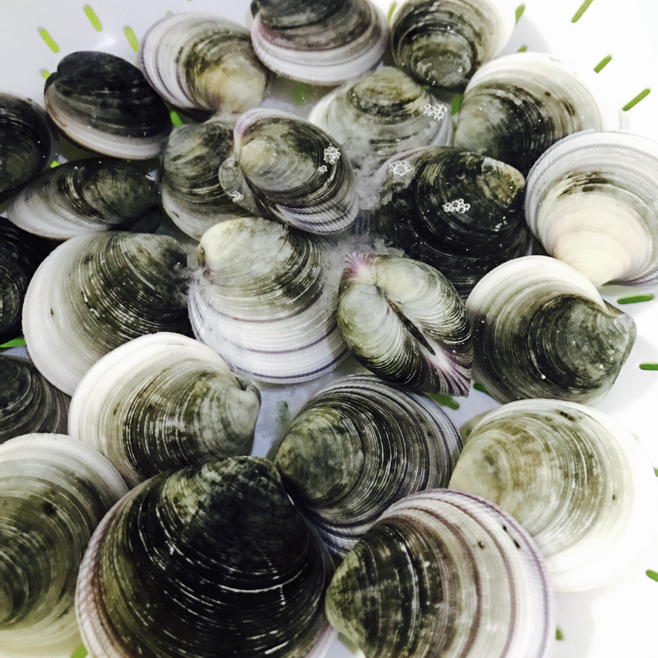 香茅蛤蜊湯的做法 步骤1