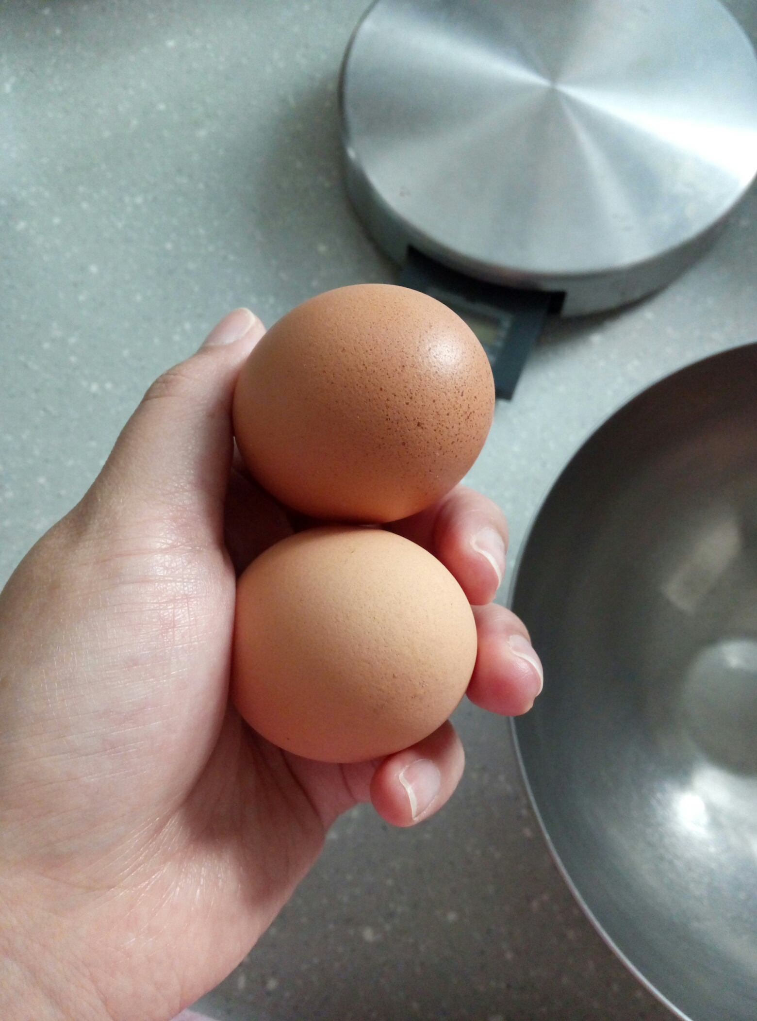 芝麻雞蛋卷的做法 步骤1