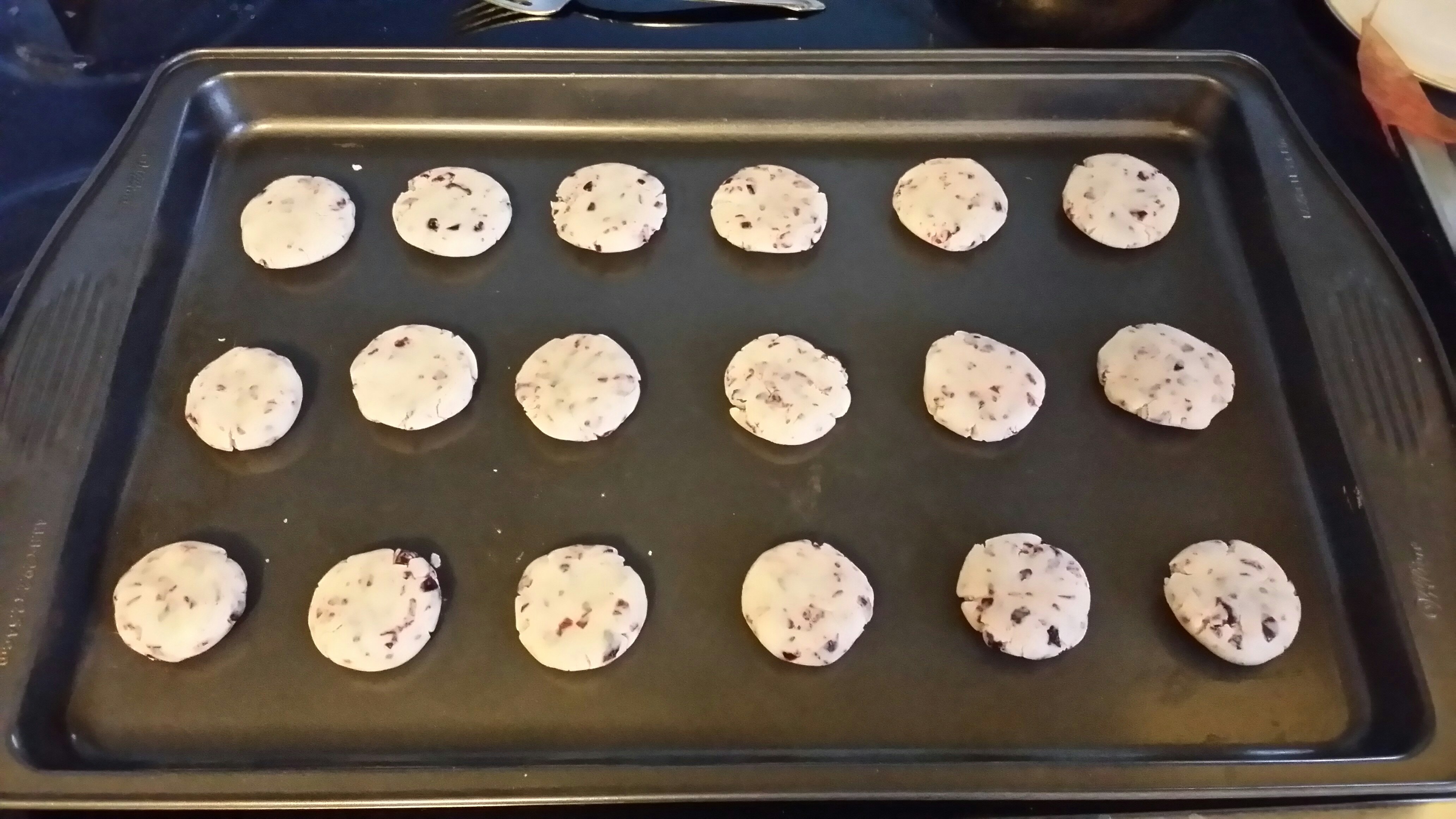 奶油蔓越莓餅干（Butter cranberry cookie）的做法 步骤9