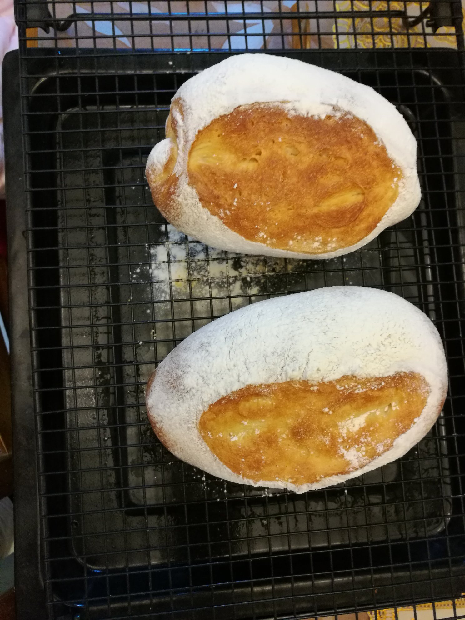 冰箱低溫發酵健康橄欖油軟式法國面包的做法 步骤8