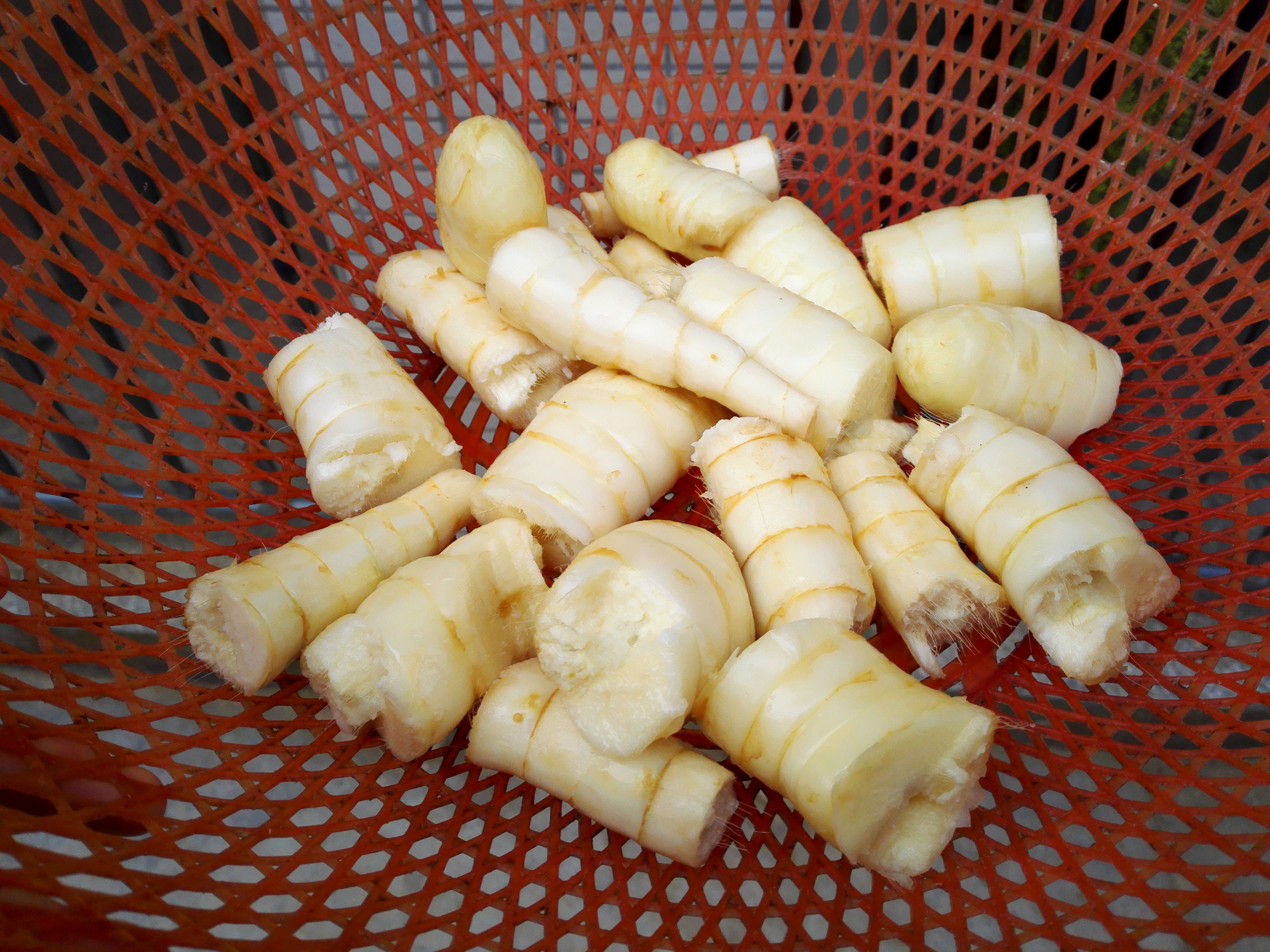 竹節薯炖雞湯的做法 步骤2